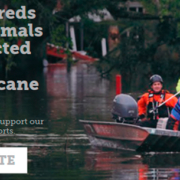 Happy Leaf ASPCA Assists Hurrican IDA