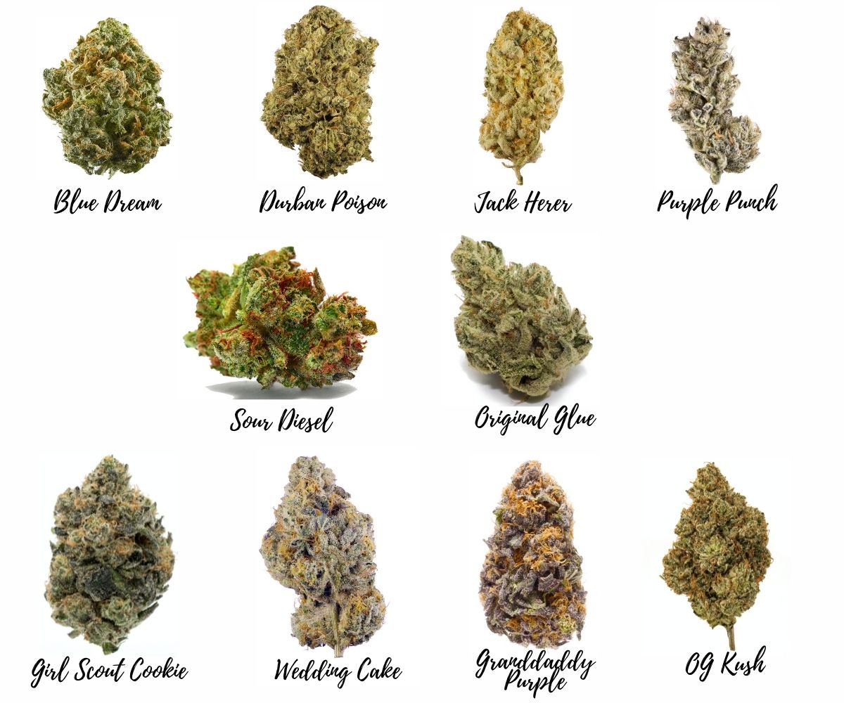 marijuana strains in Oregon