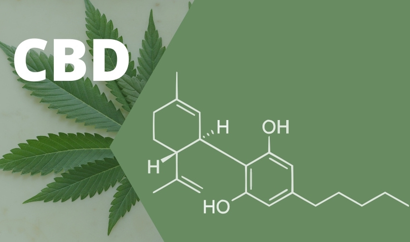 can CBD make you high