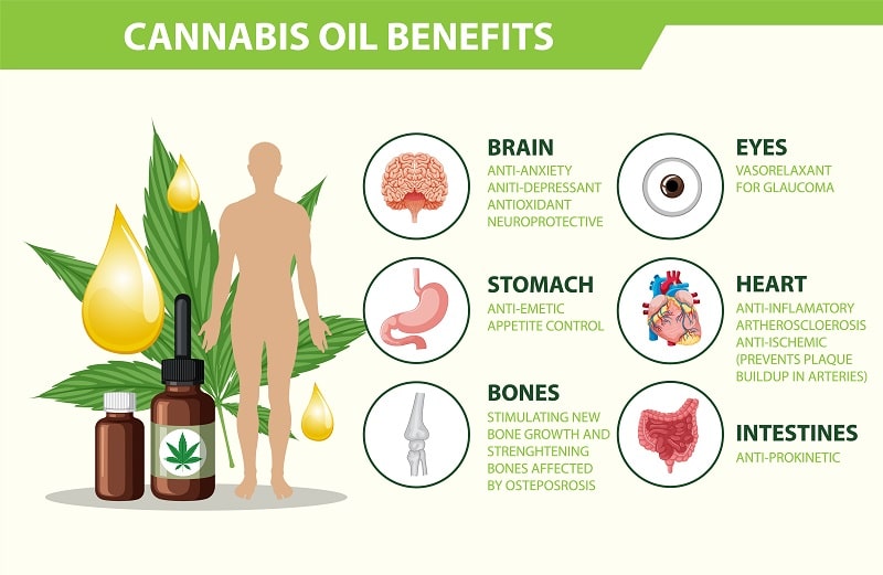 endocannabinoid system and cbd