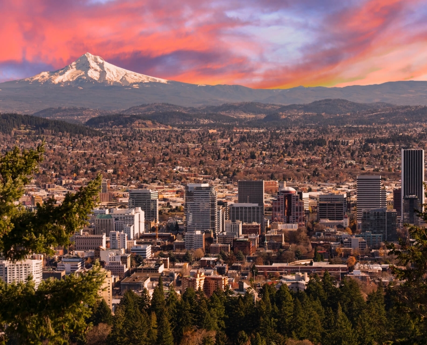 Loyalty-rewards-program