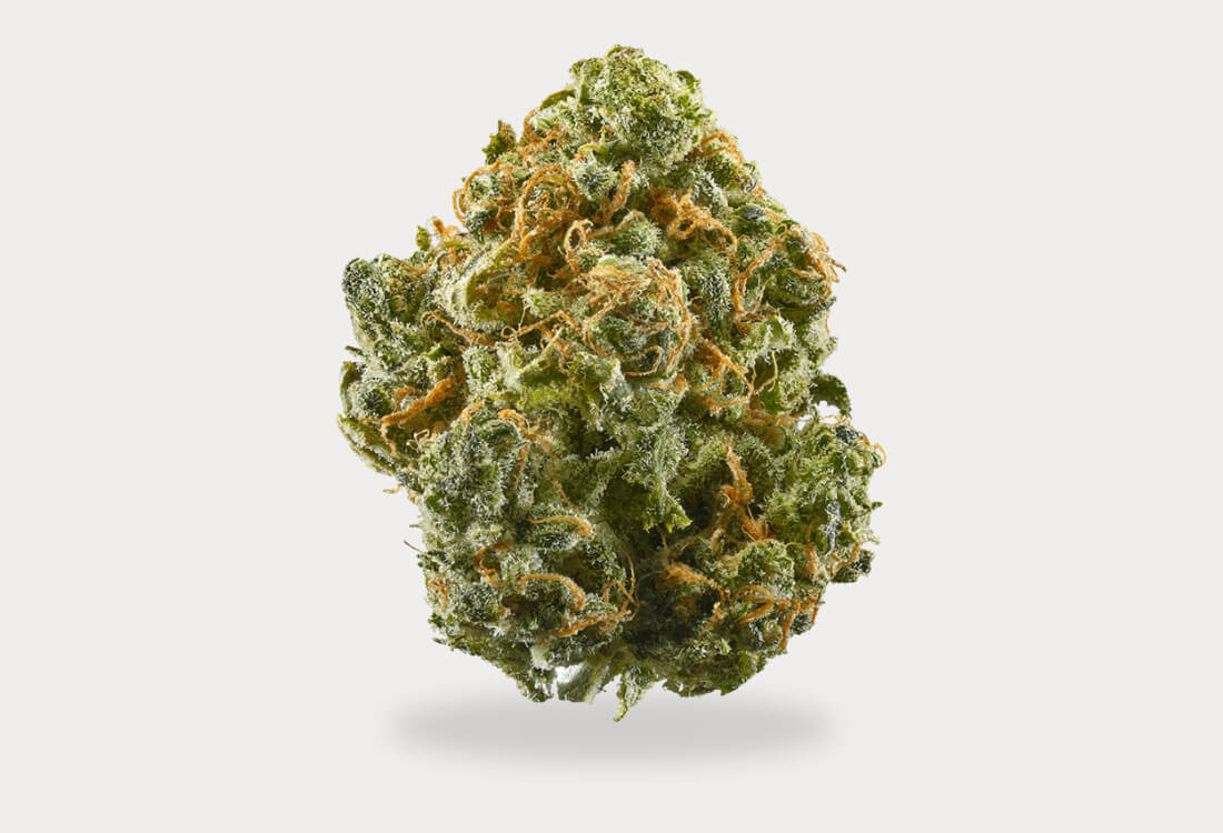 Blue-Dream-Flower Blue Dream Flower