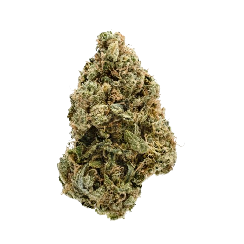 flowers-category flowers category